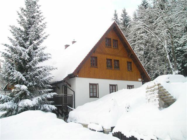 Pension U Háčků room 4